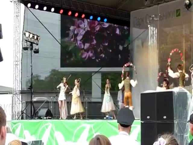 Электро скрипачка || Скрипка на свадьбу || Violin by Marina Pavlova on ...