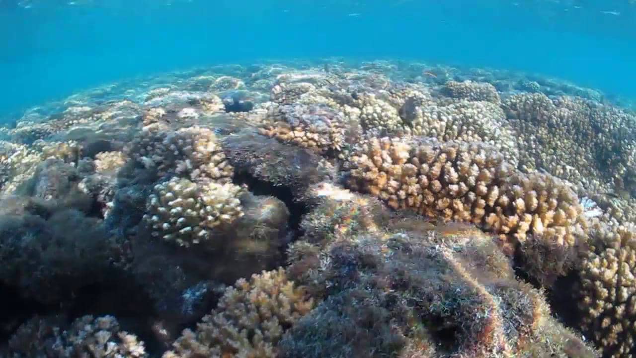 Snorkel Tour, Isla Espirítu Santo, Baja California Sur, Thanksgiving ...