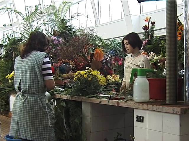 O PRIMEIRO OLHAR 10 - AS FLORES