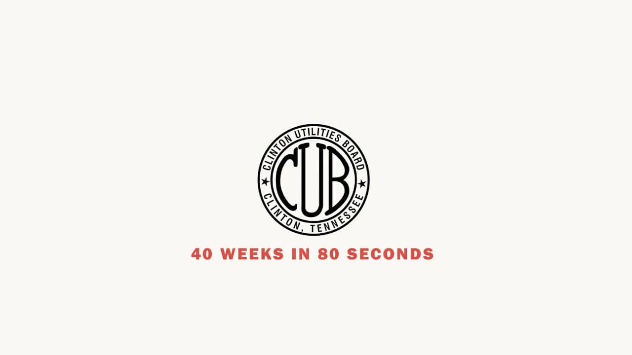 Clinton Utilities Board 40 Weeks in 80 Seconds on Vimeo