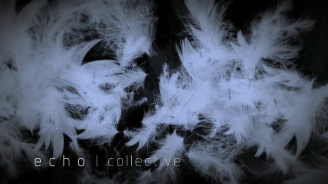 echo | collective Motion Textures