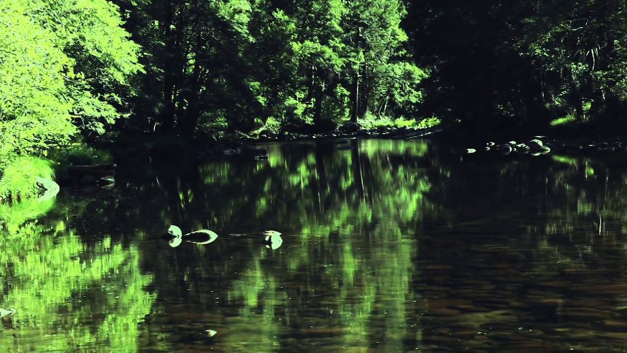 Yosemite Labor Day on Vimeo