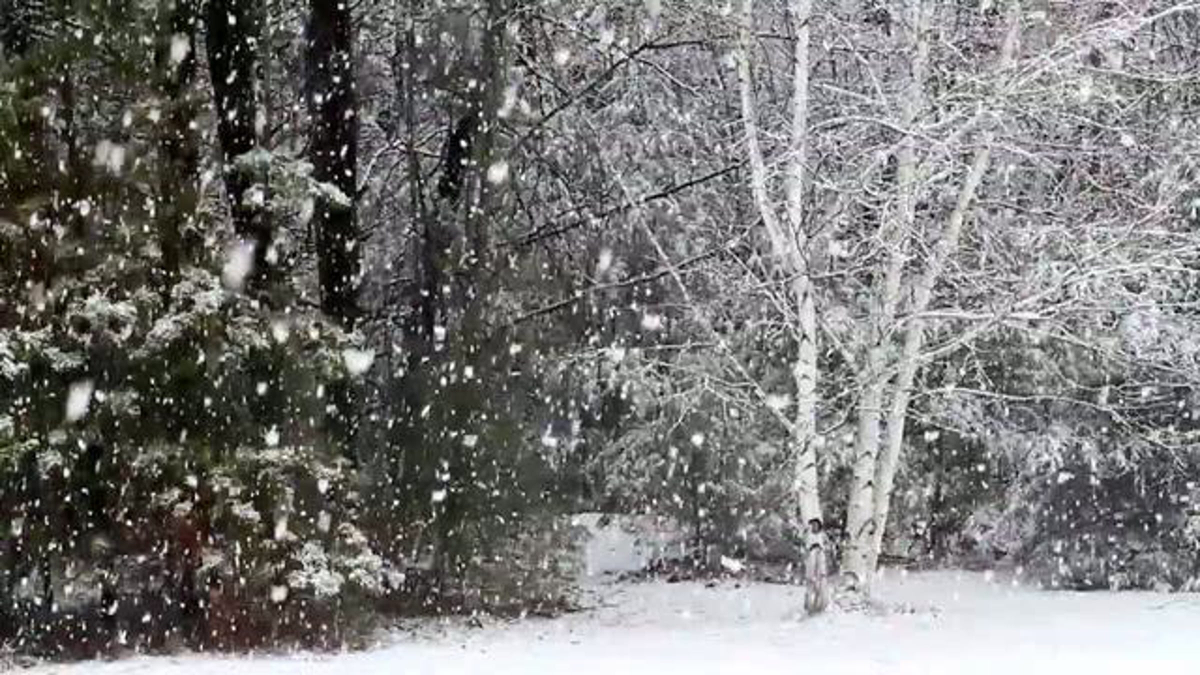 Снежинки падают на землю. Снегопад анимация. Снег кружится летает летает ему пофиг что май наступает. Снег кружится летает летает. Снег кружится.