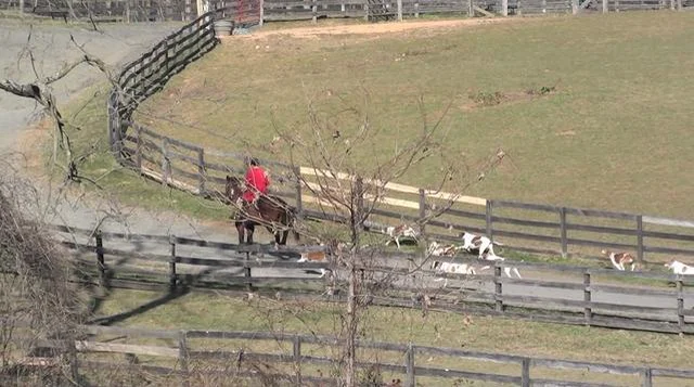 Hunting Fun on Vimeo