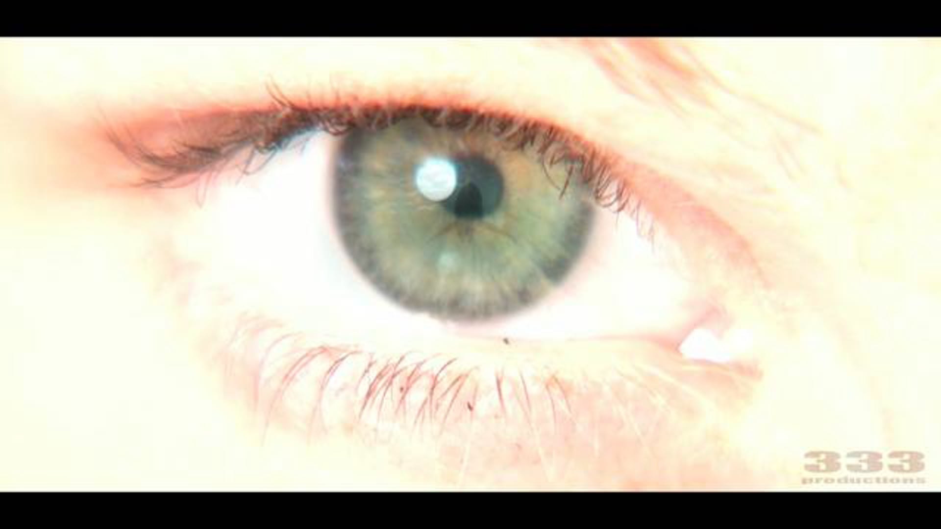 333-a lateral line (excerpt )