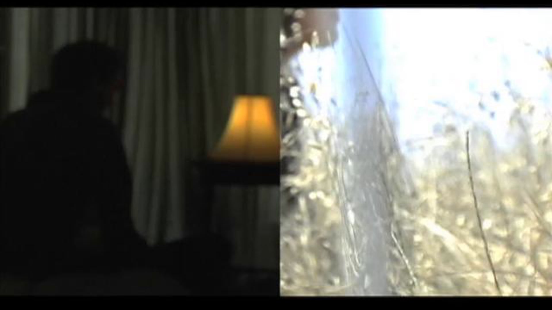 we have lost our wings, but still we dream of flying