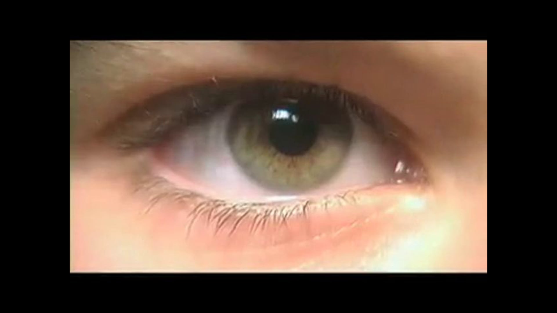 Blink -excerpt