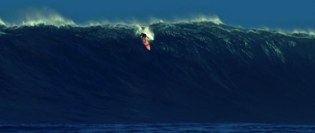 Buttermilk Biscuits from Turkeymelt