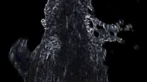 Vid&eacute;ographies21