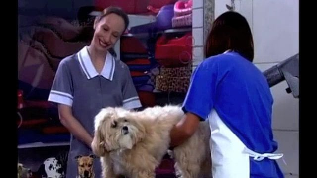 Carrossel  [Novela SBT]