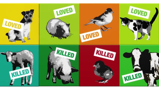 Videos for organisations that make the world a better place - Vegan Society  : Do you want to make history? : animated video on Vimeo