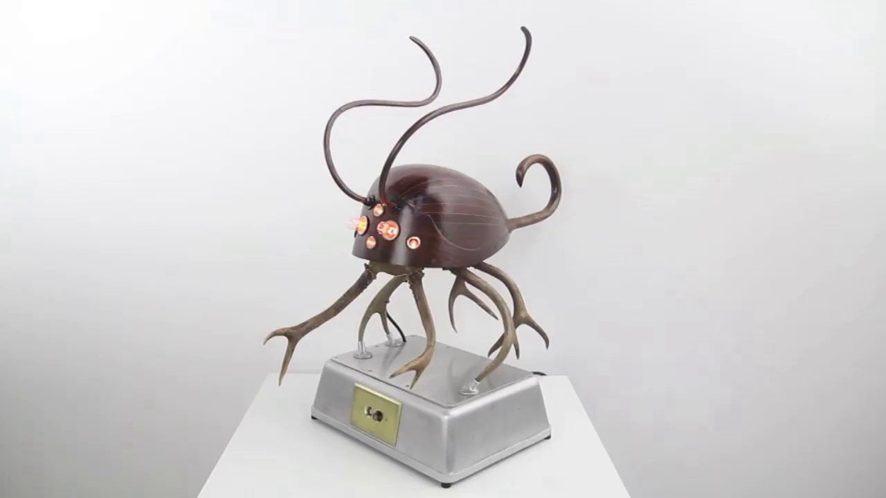 Mandolinsect in motion