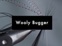 Wooly Bugger