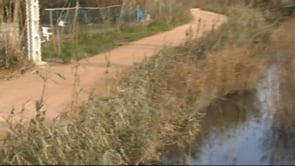 Actuació al passeig que ressegueix el Rec de Molí