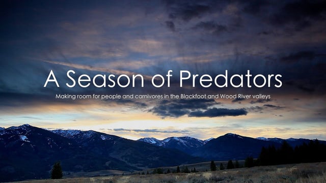 A Season of Predators