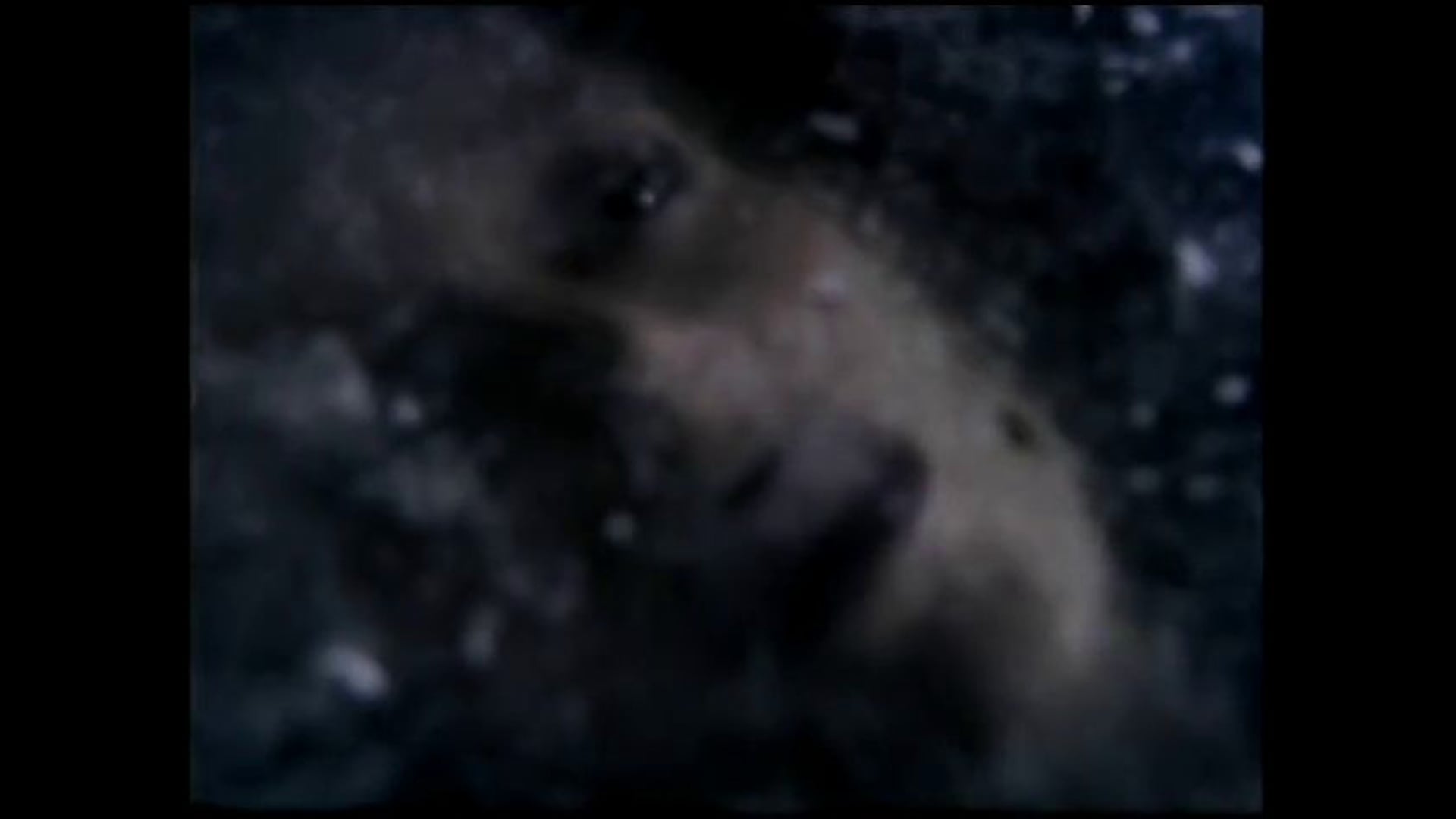 "Women Who Run With Wolves"