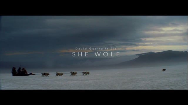 David Guetta feat. Sia - She Wolf (Falling to Pieces) thumbnail