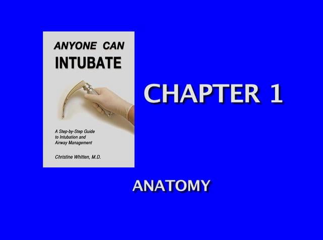 Chapter 1 Anatomy