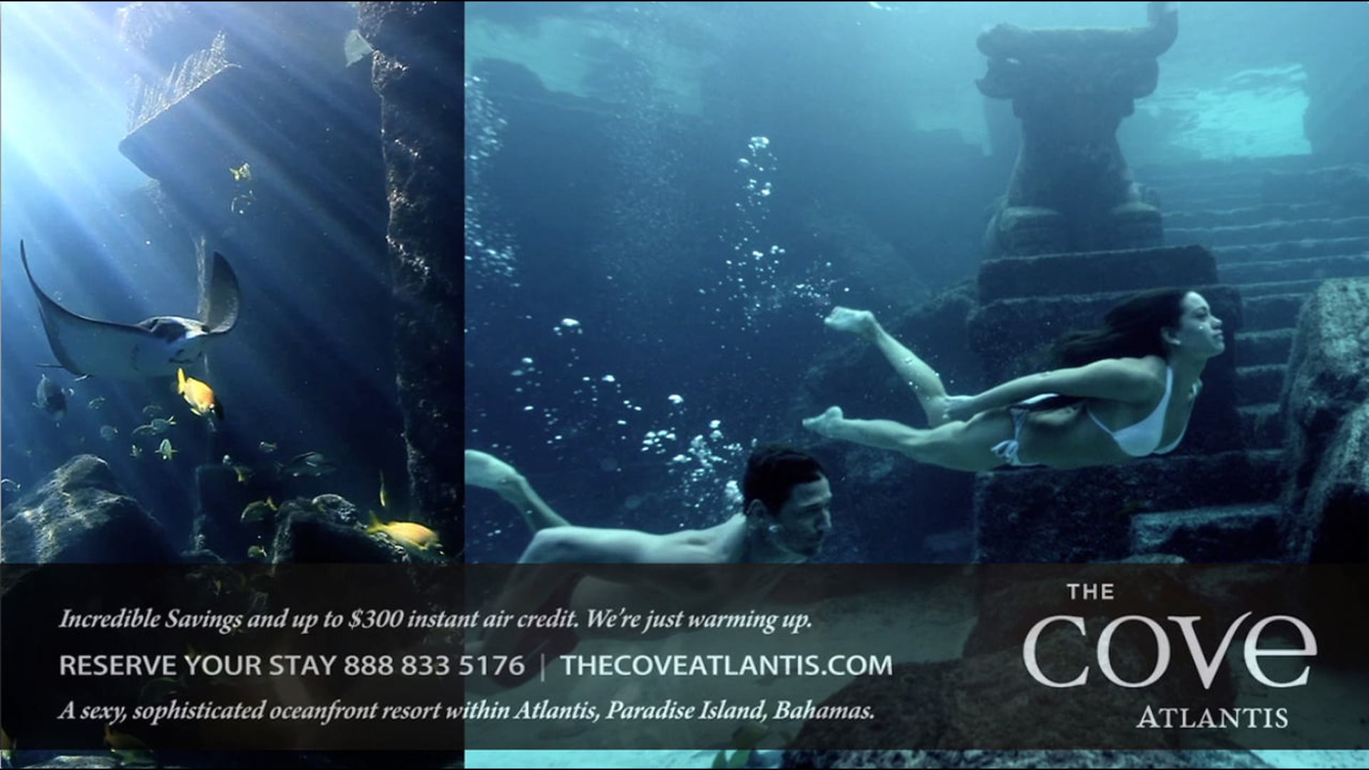 ATLANTIS - THE COVE