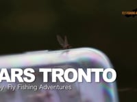 Fly fishing in Tronto