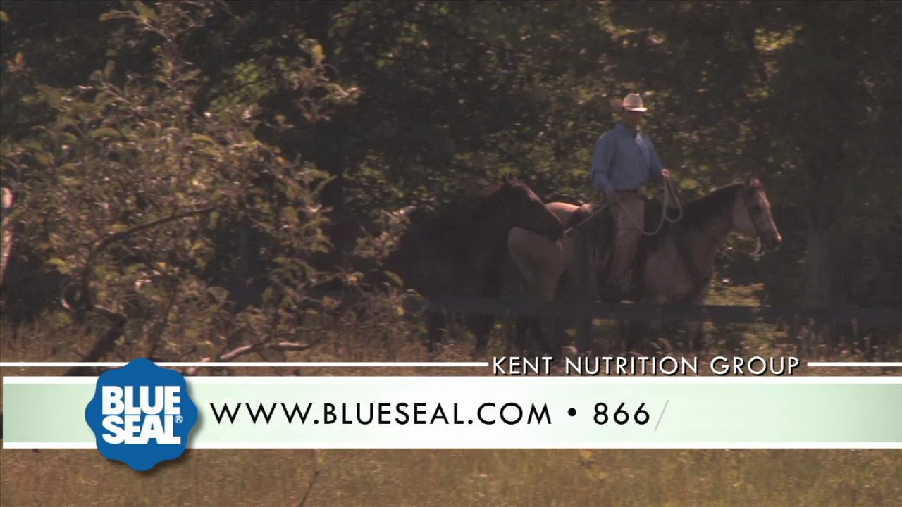 Blue Seal Sentinel Horse Feed Commercial 15 sec. on Vimeo