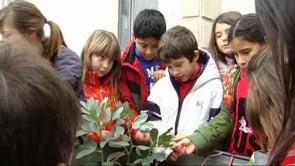 Foment de la reutilització als centres escolars