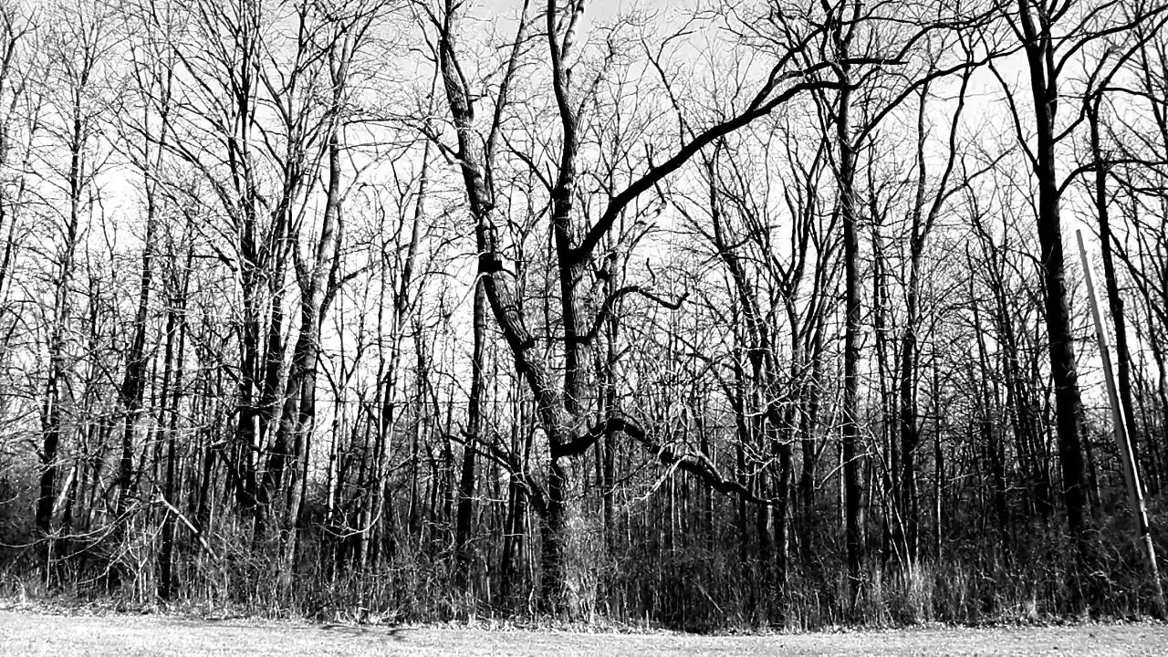 Dream Sequence on Vimeo