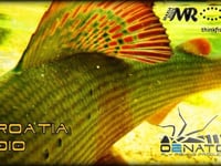 CROACIA Fly Fishing by o2natos