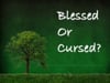 Sunday Morning Message: Janaury 27th - "Blessed or Cursed?"