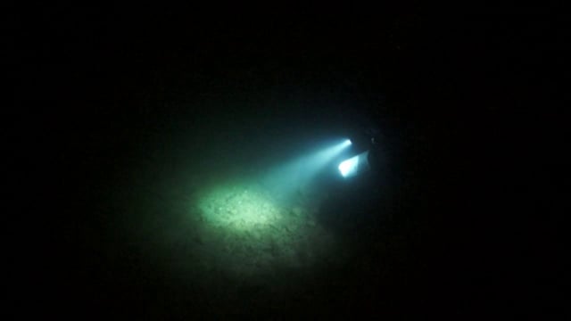 4xpg in the night