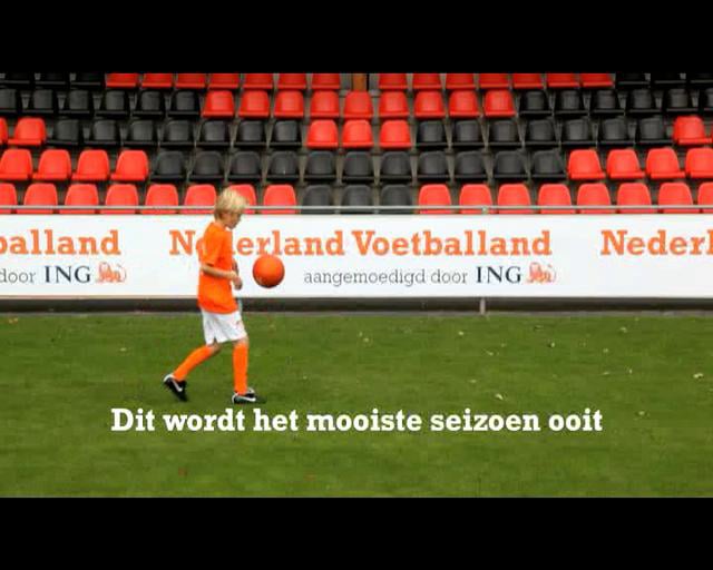 ING Banner "Jonge leeuwen "