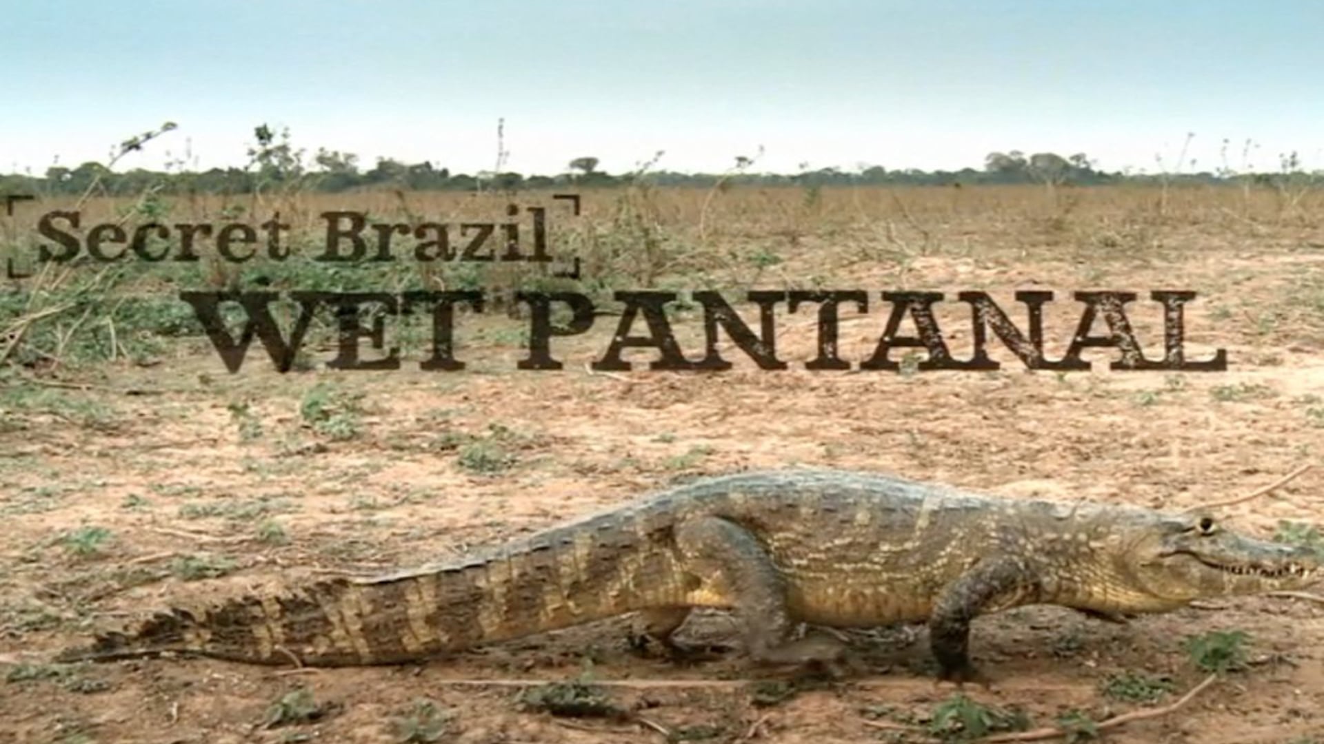 Making of Pantanal Music 720p