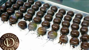 Chocolate Decadence