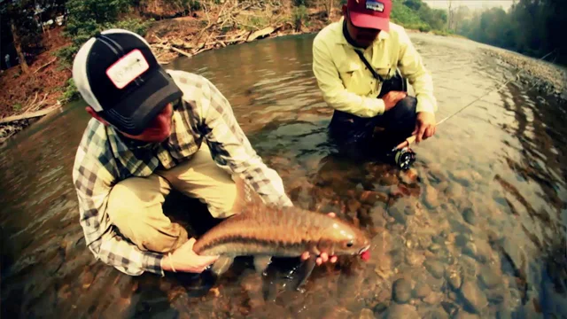 Fish the WNC Fly Fishing Trail