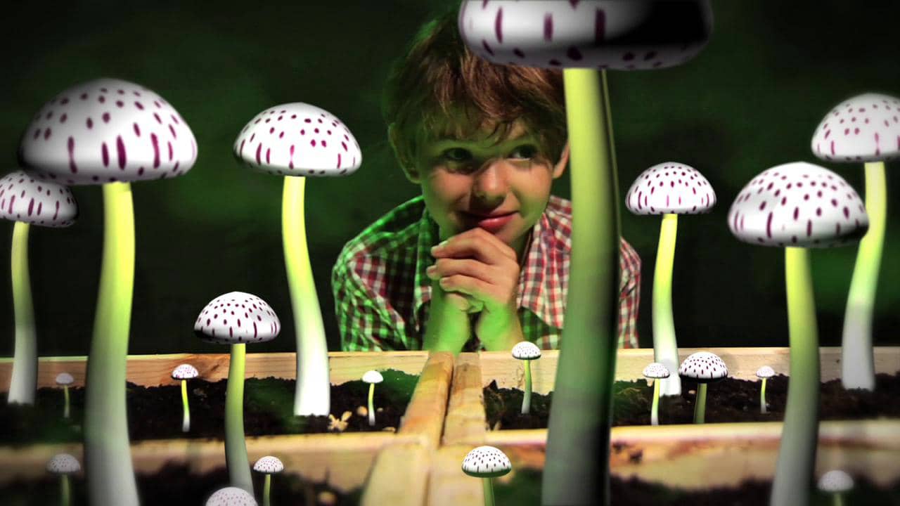 Giant Mushrooms By Erin Hill Official Music Video On Vimeo