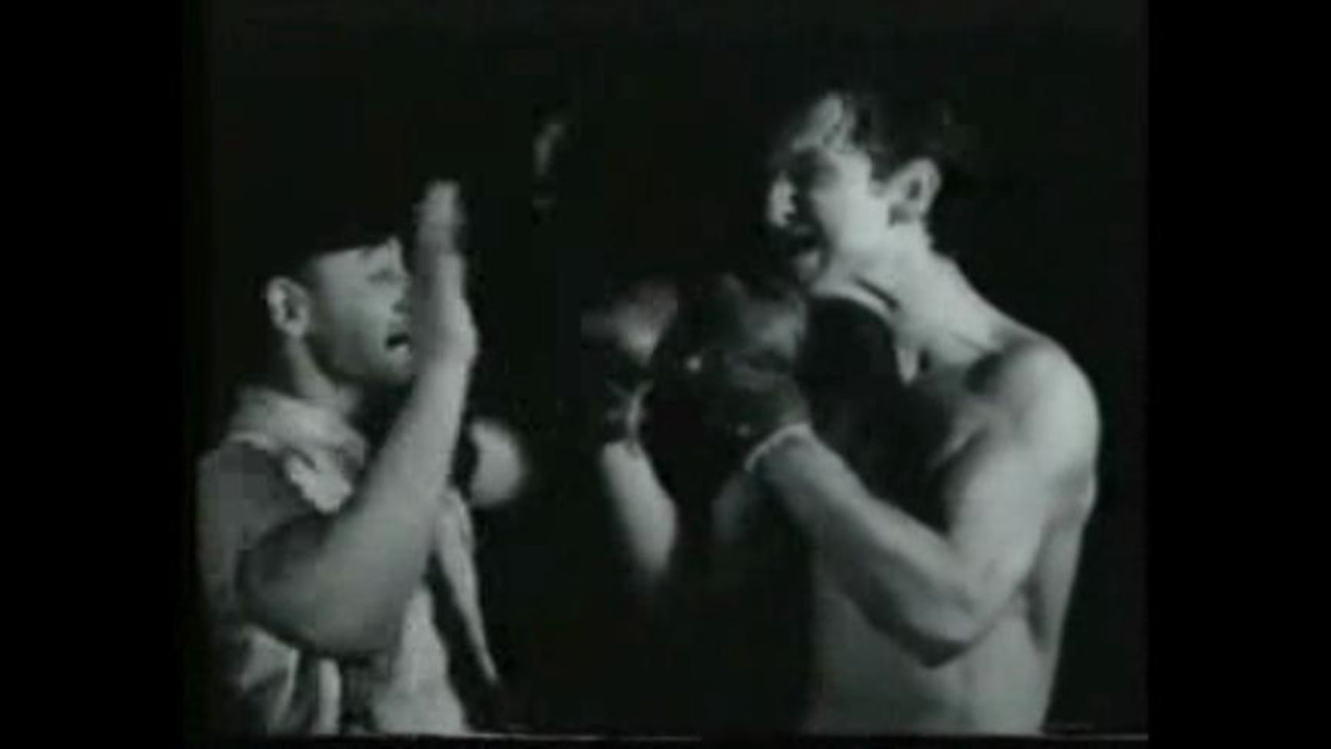 The Knockout - 'Trainer'