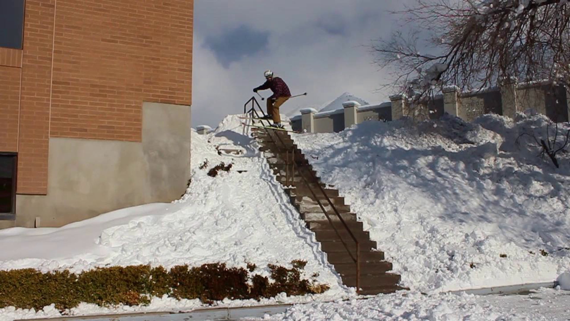 Gnarly Panda: Sander Hadley