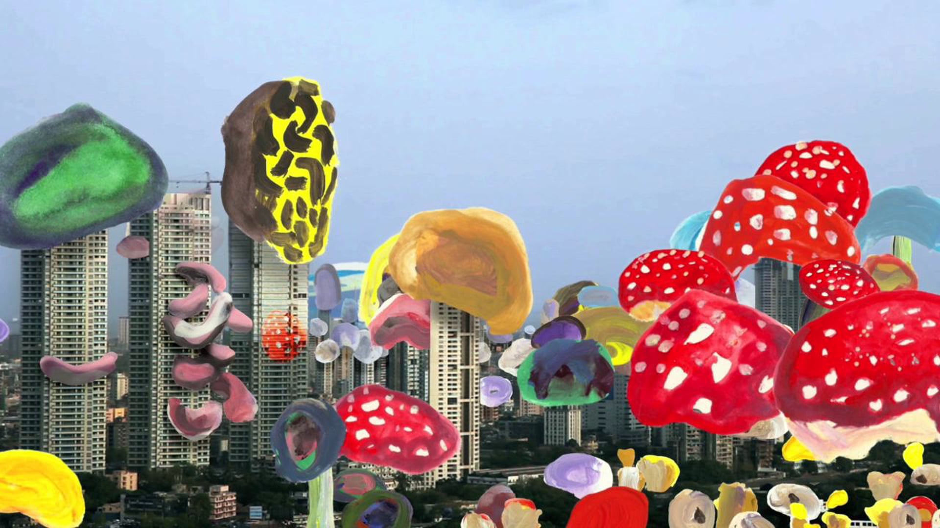 Magic Mushrooms