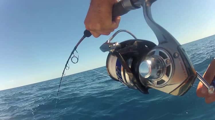 shimano fishing rods in Perth Region, WA, Fishing