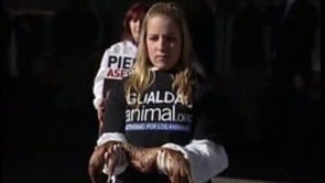 Vídeo de «Público» sobre la acción de Igualdad Animal en Sevilla