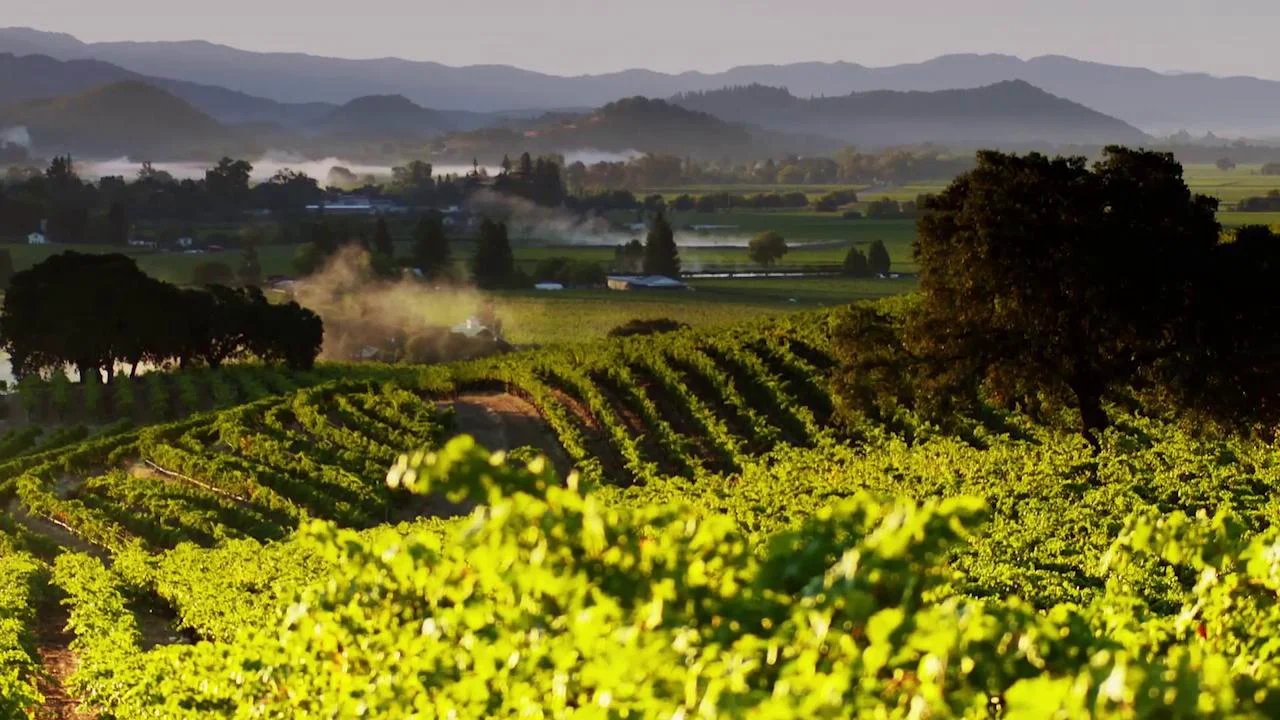 Napa Rocks #3 - Climate on Vimeo