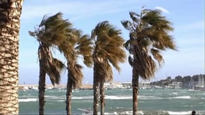 Forta Tramuntana