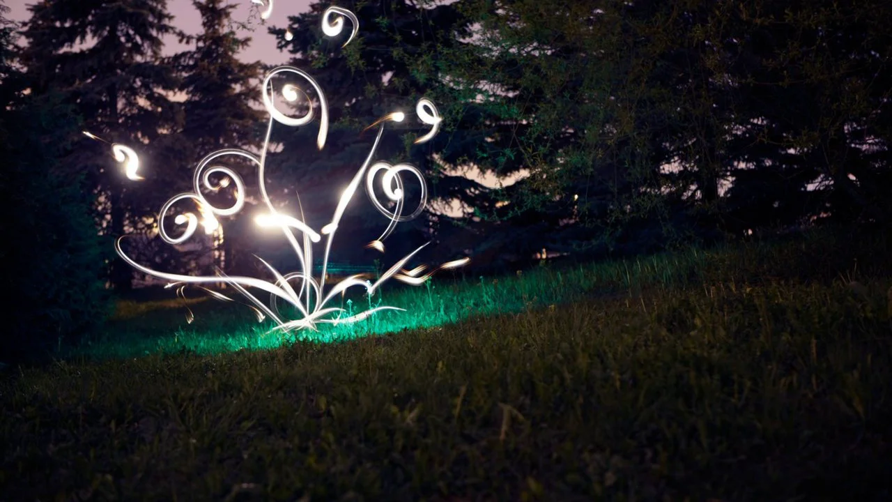 Magic light painting. Фризлайт магия. Фризлайт анимация. Фризлайт новый год в лесу. Фризлайт в городе улитки.