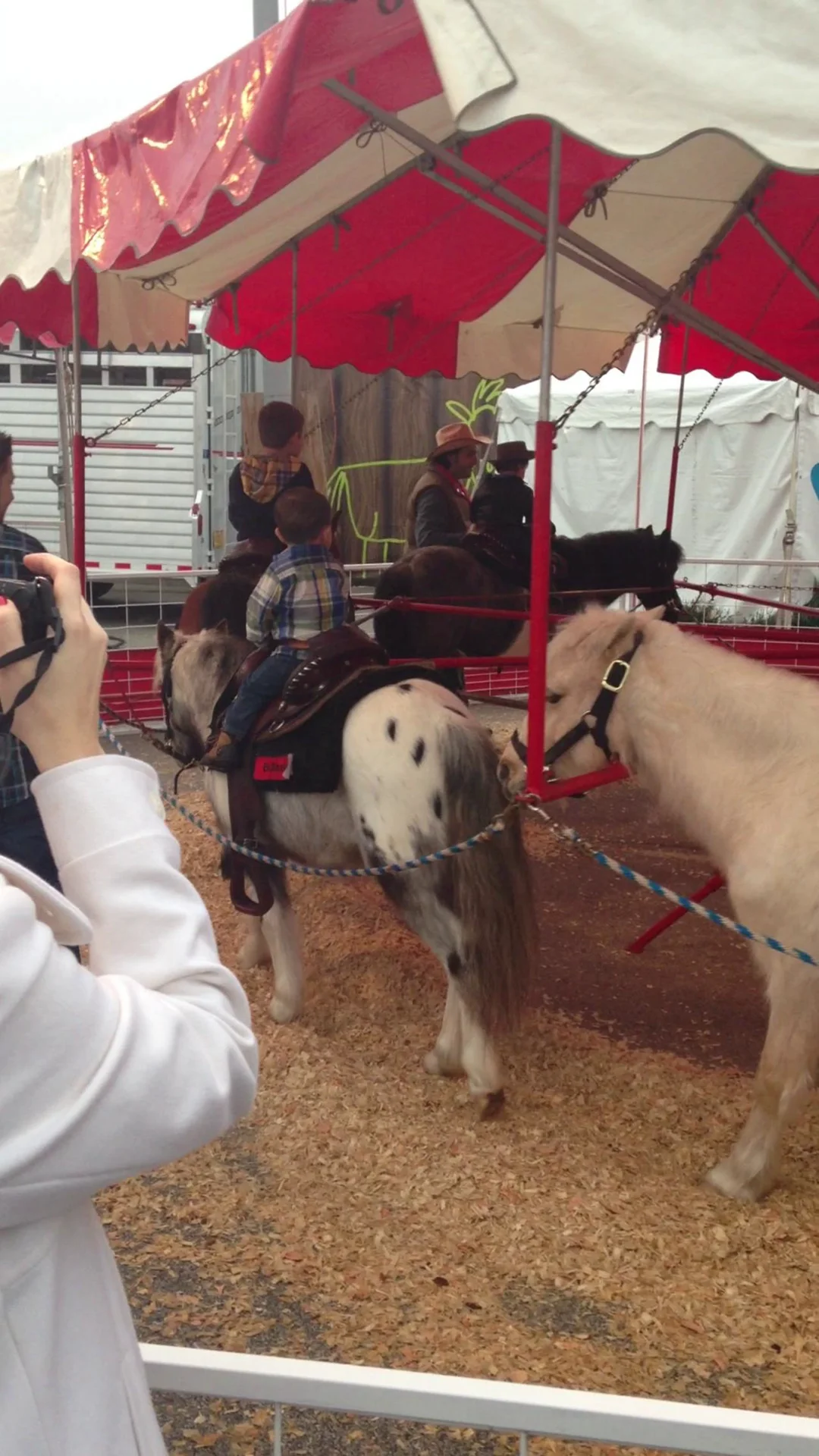 Rodeo on Vimeo