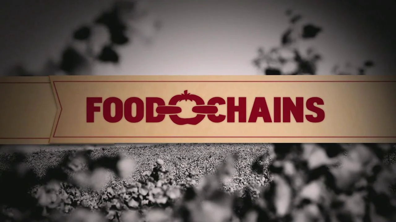 Food Chains Teaser