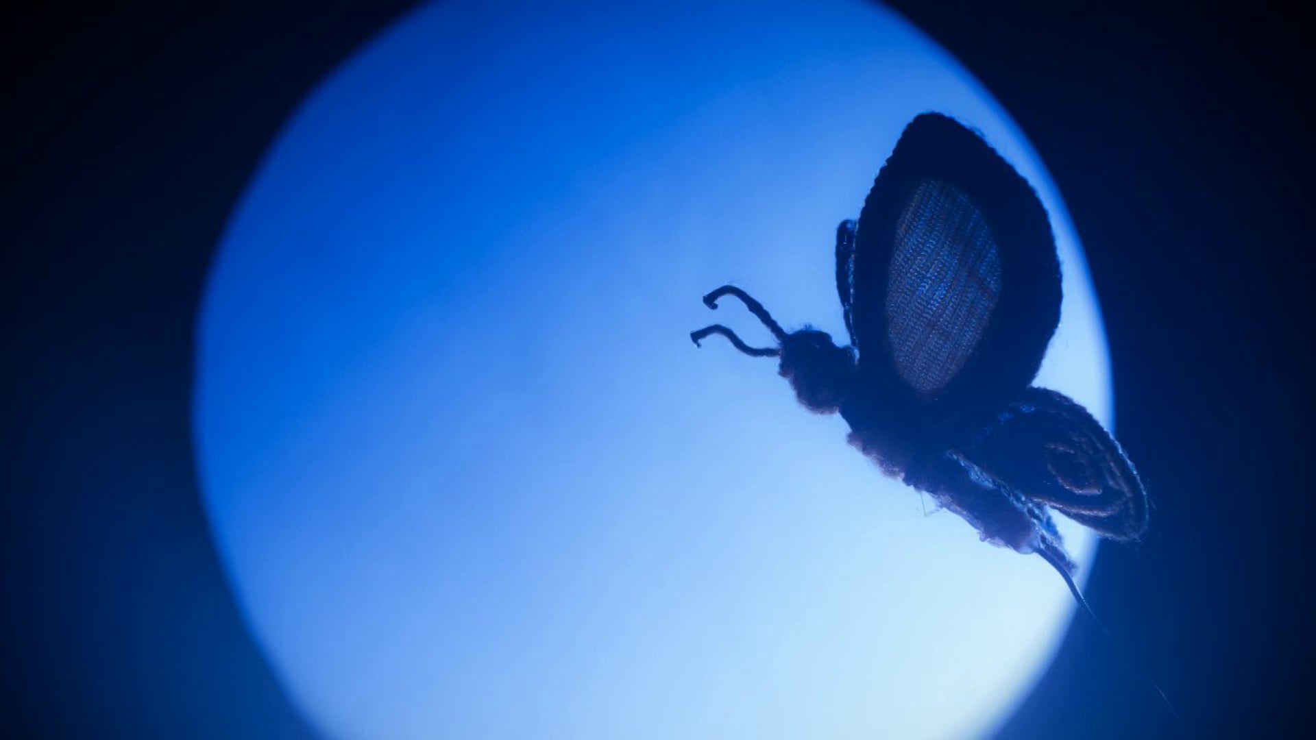 As Long As You Watch My Heart - Penny Police