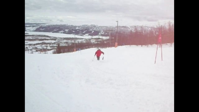 Vivi Christodoulopoulou in action