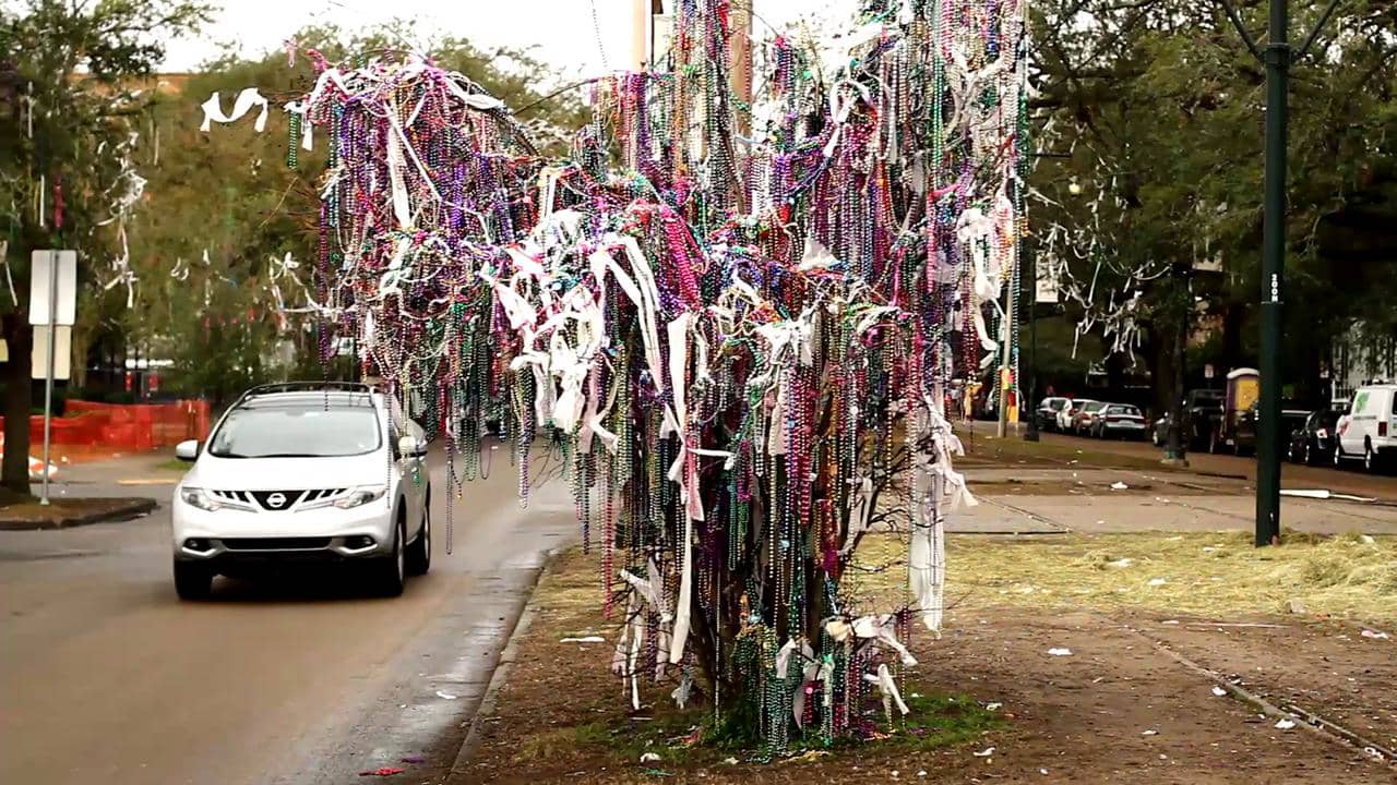 mississippi ave mardi gras