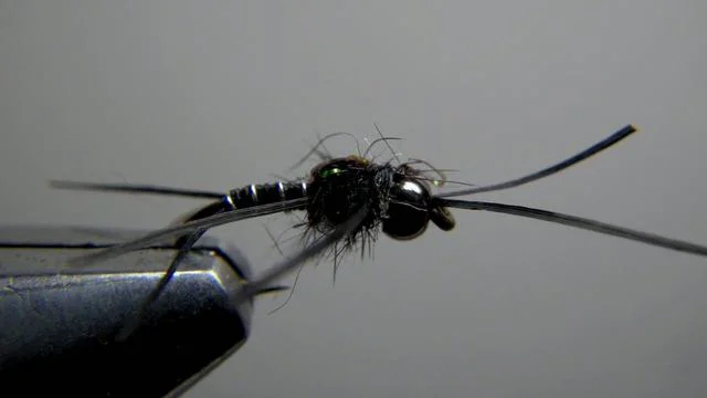 Black Sparkle Stone — Redd'sFlies