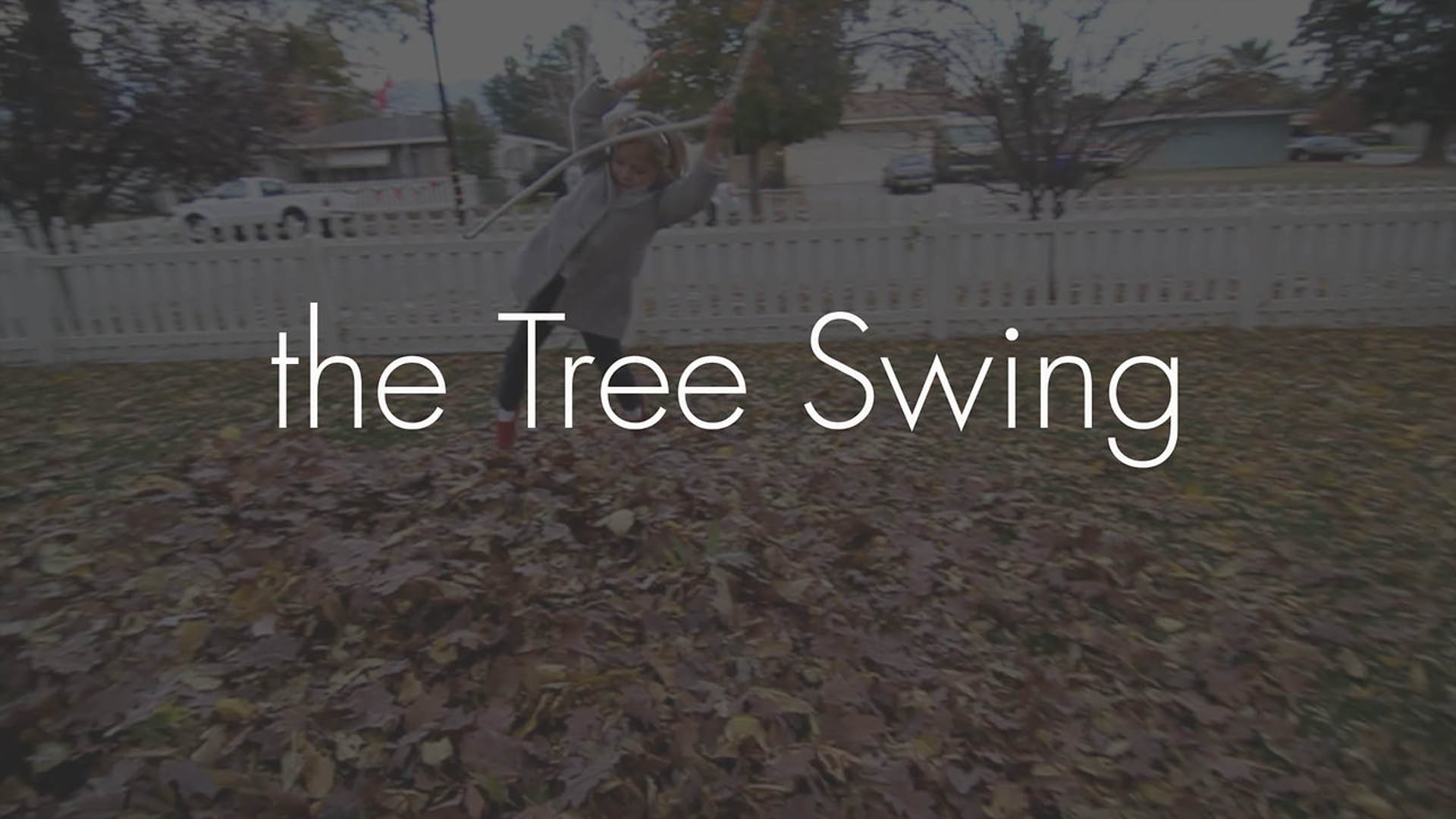 the Tree Swing